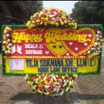 Bunga Papan Wedding juga memiliki daya tahan yang baik, jadi penerima hadiah dapat menikmati keindahan buket bunga mawar selama beberapa hari atau bahkan lebih lama.